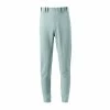 Mizuno Mens Premier Non Piped Baseball Pants 2 Mizuno Mens Premier Non Piped Baseball Pants -Schutt Sales Store 350007 9191